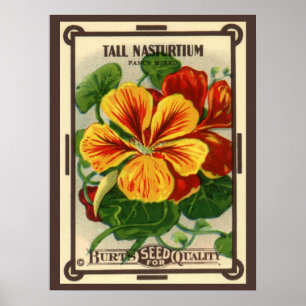 Vintage Seed Packet Label Art, Nasturtiums Poster