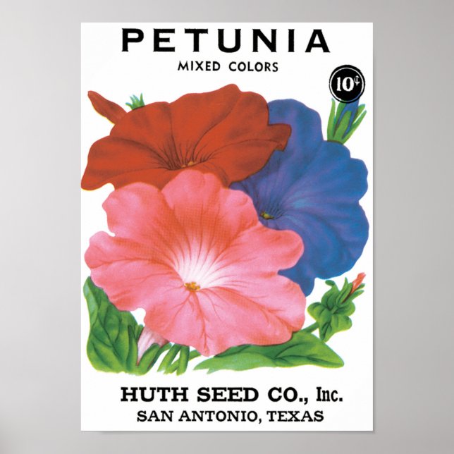 Vintage Seed Packet Label Art, Petunia Flowers Poster (Front)