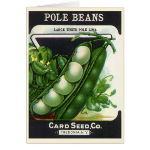 Vintage Seed Packet Label Art, Pole Lima Beans