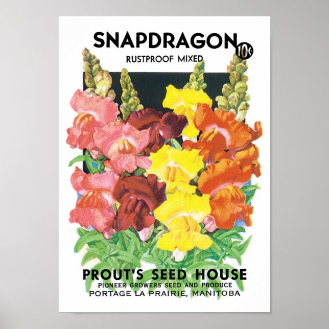 Vintage Seed Packet Label Art, Snapdragon Flowers Poster (Front)