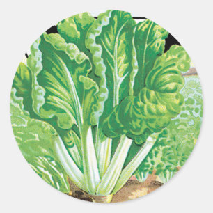 Vintage Seed Packet Label Art, Swiss Chard Veggies