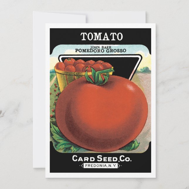 Vintage Seed Packet Label Art, Tomato Pomodoro (Front)