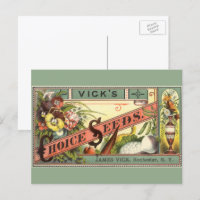 Vintage Seed Packet Label Art, Vick's Choice Seeds
