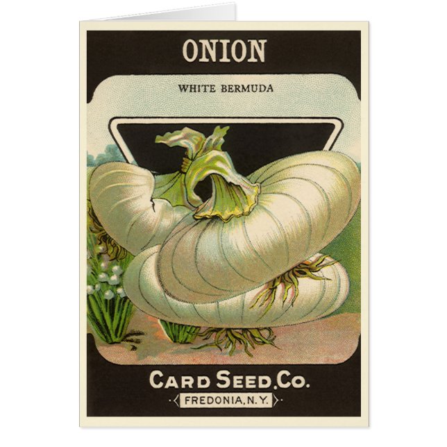 Vintage Seed Packet Label Art White Bermuda Onions (Front)