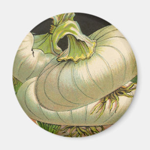 Vintage Seed Packet Label Art White Bermuda Onions Magnet