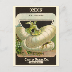 Vintage Seed Packet Label Art White Bermuda Onions Postcard