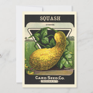 Vintage Seed Packet Label Art Yellow Summer Squash
