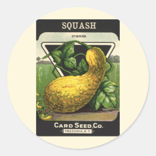 Vintage Seed Packet Label Art Yellow Summer Squash