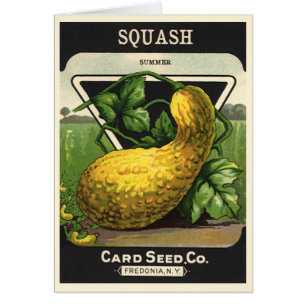 Vintage Seed Packet Label Art Yellow Summer Squash