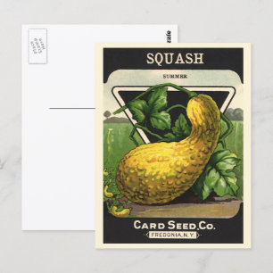 Vintage Seed Packet Label Art Yellow Summer Squash Postcard