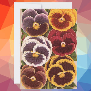 Vintage Seed Packet Labels, Garden Pansy Flowers