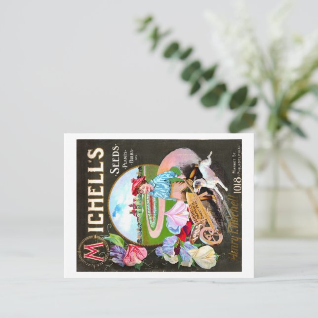 Vintage Seed Packet. Postcard (Standing Front)