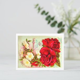 Vintage Seed Packet Postcards. Postcard