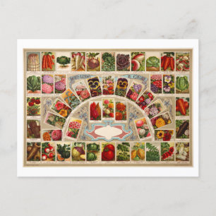 Vintage Seed Packets Postcard