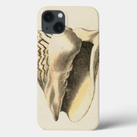 Vintage Sepia Conch Shell