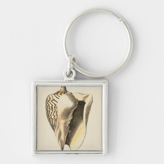Vintage Sepia Conch Shell Key Ring (Front)