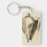 Vintage Sepia Conch Shell