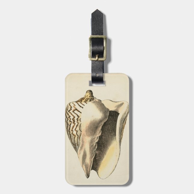 Vintage Sepia Conch Shell Luggage Tag (Front Vertical)