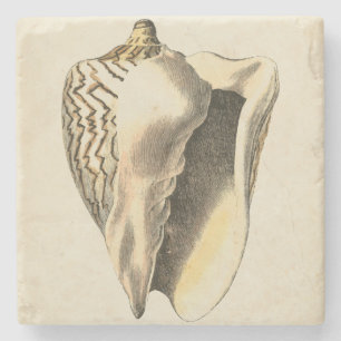 Vintage Sepia Conch Shell Stone Coaster