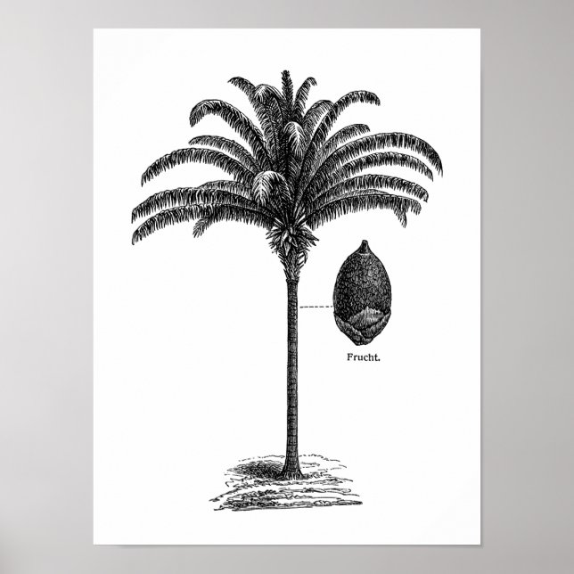 Vintage Sepia Retro Brazilian Palm Tree Template Poster (Front)