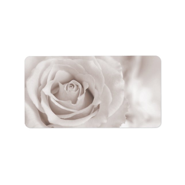 Vintage Sepia White & Cream Rose Background Custom Label (Front)