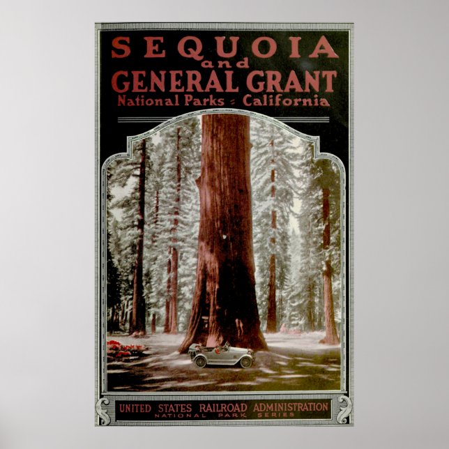 Vintage Sequoia National Park Illustrative Poster (Front)
