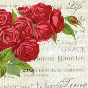 Vintage Shabby Chic Red Roses On Antique Script Thongs