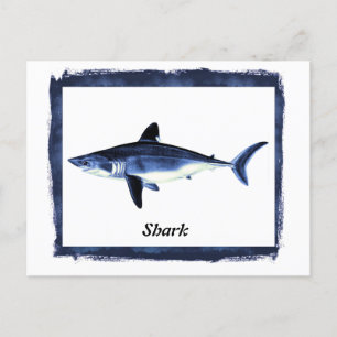 Vintage Shark in Black Frame Postcard