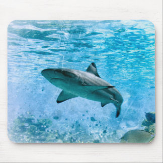 Vintage Shark Mousepad