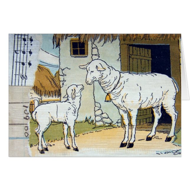 Vintage Sheep Collage (Front Horizontal)