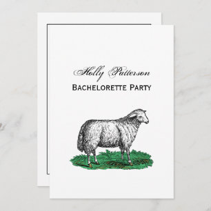Vintage Sheep Ewe Farm Animals Drawing C Invitation