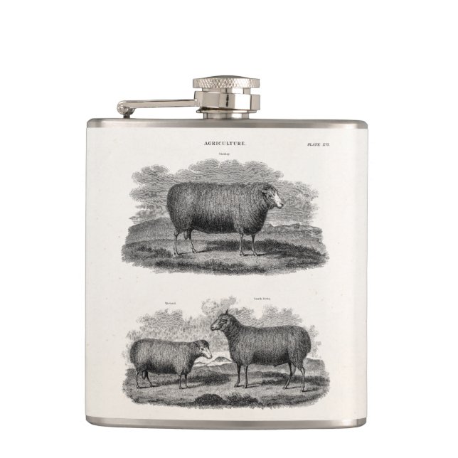 Vintage Sheep Ewe Farm Animals Retro Ewes Hip Flask (Front)