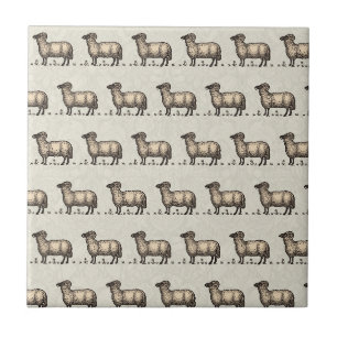 Vintage Sheep Illustration: Farm Classic Art Ceramic Tile
