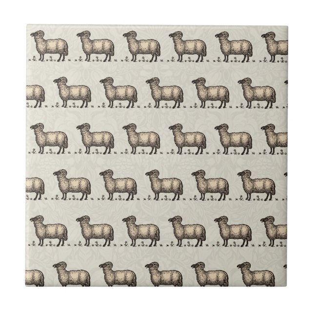 Vintage Sheep Illustration: Farm Classic Art Ceramic Tile (Front)