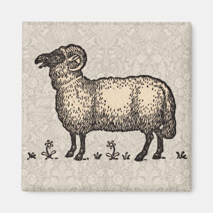 Vintage Sheep Illustration: Farm Classic Art Magnet