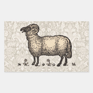 Vintage Sheep Illustration: Farm Classic Art Rectangular Sticker
