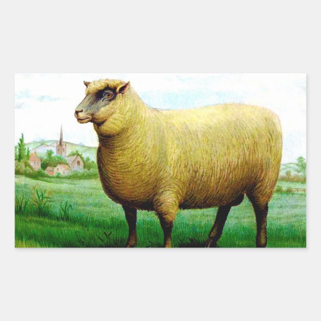 Vintage sheep painting rectangular sticker (Front)