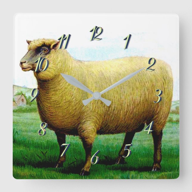Vintage sheep painting square wall clock (Front)