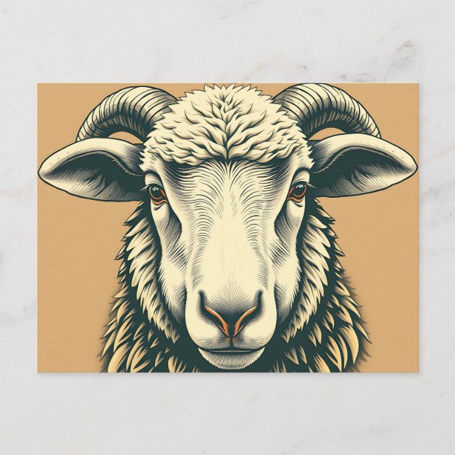 Vintage Sheep Portrait in Rustic Style Postcard (Front)