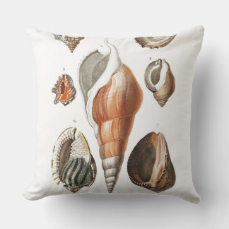 Vintage Shell Illustration Pillow