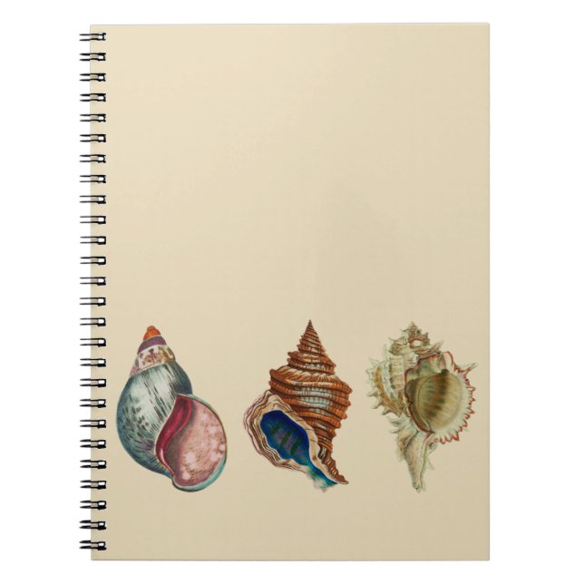 Vintage Shells Notebook (Front)