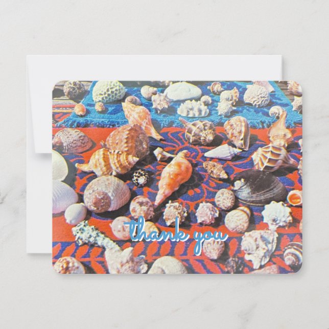 Vintage Shells Stationary Note Card (Front)