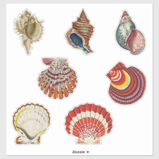 Vintage Shells Sticker Set (Sheet)