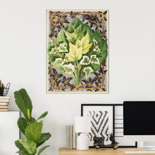 Vintage Shirley Hibberd Ivy Leaves Botanical Art Poster