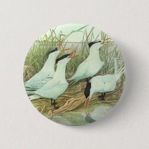 Vintage Shorebirds in a Marsh by Louis Fuertes 6 Cm Round Badge