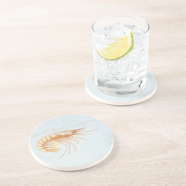 Vintage Shrimp, Marine Life Ocean Animals Anatomy Coaster (Side)