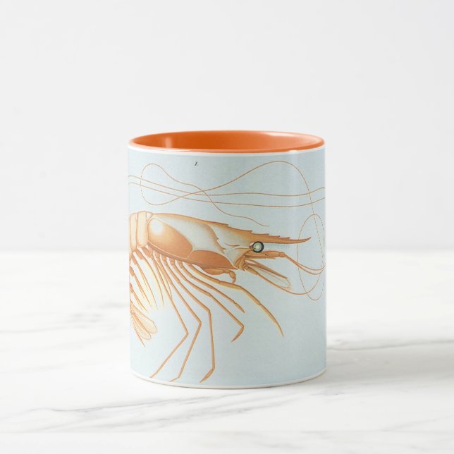Vintage Shrimp, Marine Life Ocean Animals Anatomy Mug (Center)