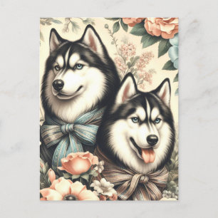 Vintage Siberian Husky  Illustration Postcard