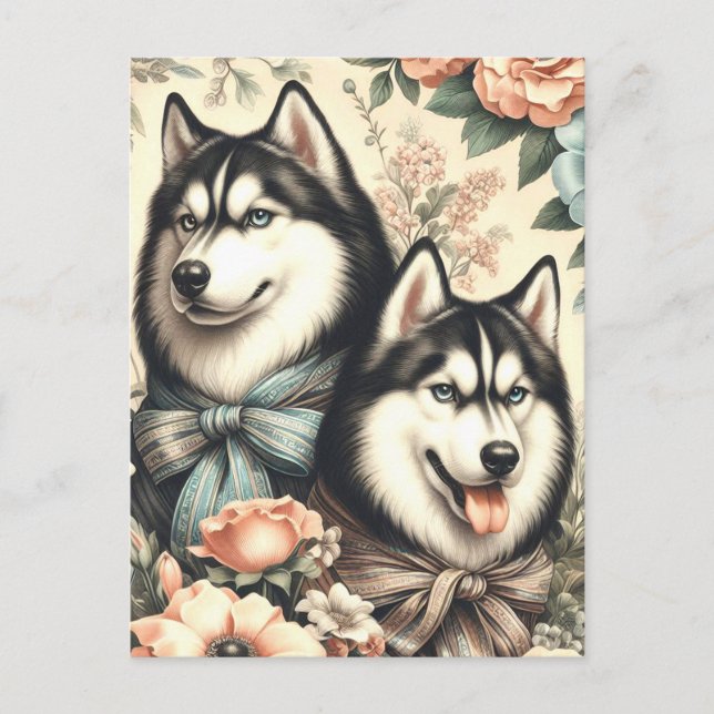 Vintage Siberian Husky  Illustration Postcard (Front)