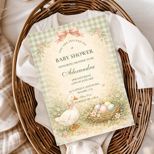 Vintage Silly Goose Garden Baby Shower Invitation (Creator Uploaded)